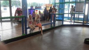 19807789_2006341812725078_2066386289_o